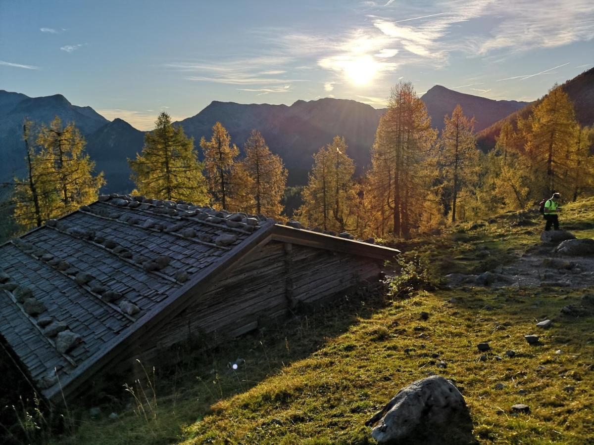 Ferienwohnung Schiestl Цель-ам-Циллер Экстерьер фото